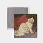 白ペルシャ猫 マグネット (正面/裏面)