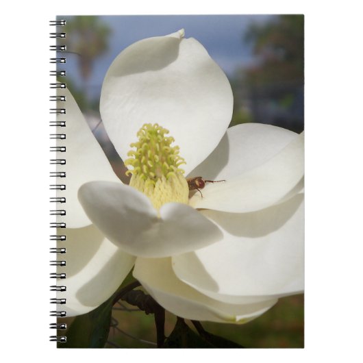白マグノリアの花とミツバチ ノートブック (正面)