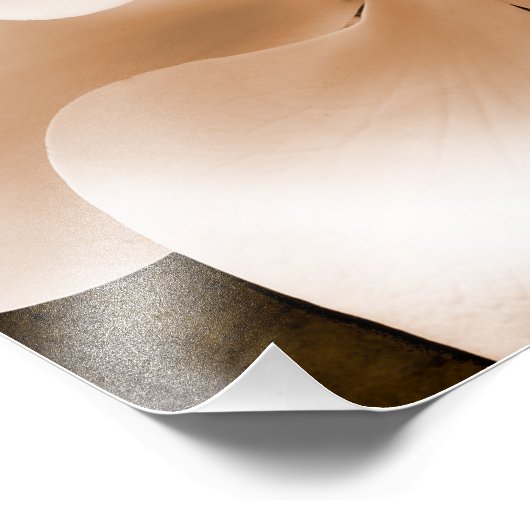 白マグノリア花セピア黒背景 フォトプリント (角)