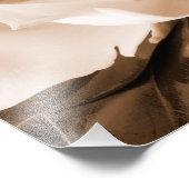 白マグノリア花黒背景 フォトプリント            (角)