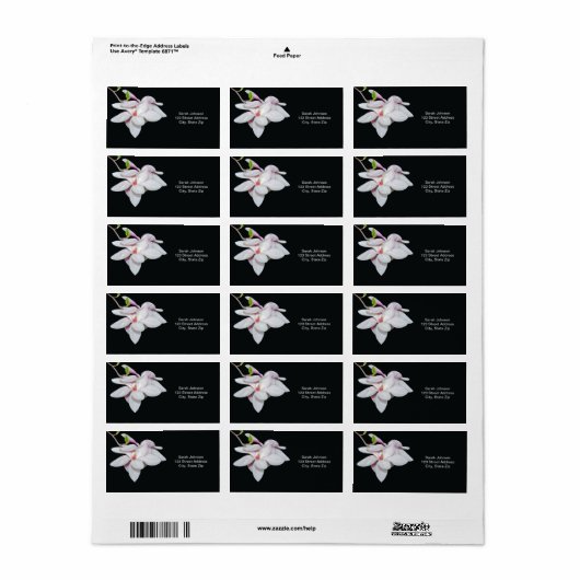 白マグノリア ラベル (フルシート)