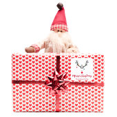 白モダンのおもしろいクリスマスのトナカイ スクエアシール