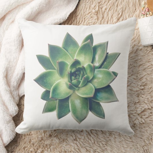 白モダンフレンドリー上の緑の多肉植物 クッション (ブランケット)
