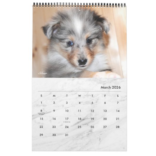 白モダン大理石 – ペ独身のージのカスタムペット写真 カレンダー (3月 2026)