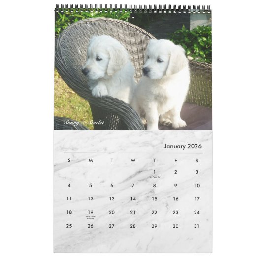 白モダン大理石 – ペ独身のージのカスタムペット写真 カレンダー (1月 2026)