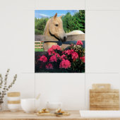 白モーガンアラビアンマーレワイルドホース花 ポスター (キッチン)