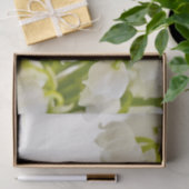 白ユリ 薄葉紙 (ギフト)