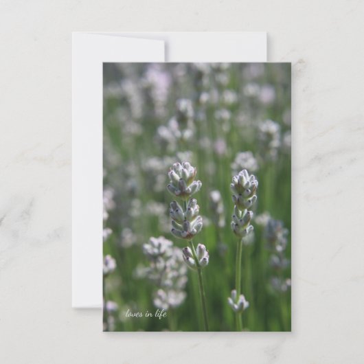 白ラベンダー ノートカード (正面)