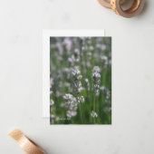 白ラベンダー ノートカード (正面/裏面インサイチュ)