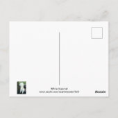 白リス ポストカード (裏面)