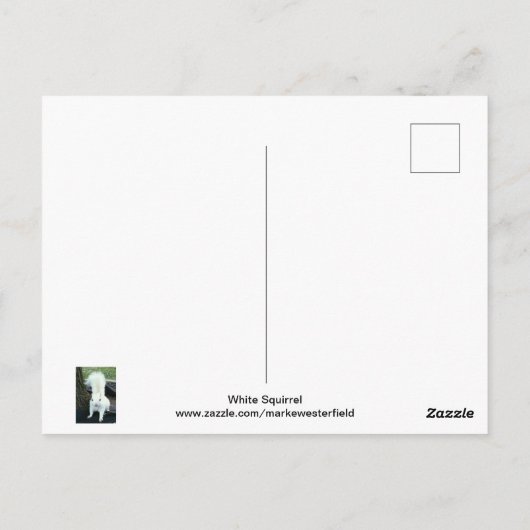 白リス ポストカード (裏面)