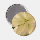 白リラム花写真丸い磁石 マグネット (正面/裏面)