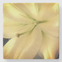 白リラム花写真大理石コースター