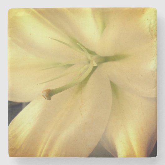 白リラム花写真大理石コースター ストーンコースター (正面)