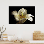 白リリー2 ポスター (キッチン)