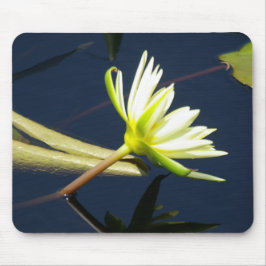 白ロータス《植物》スイレンマウスパッド マウスパッド