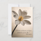 白ワイルドフラワーお見舞いカード サンキューカード (正面)