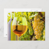 白ワインと葡萄 ポストカード (正面/裏面)