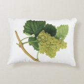 白ワイン葡萄のつる植物、ヴィンテージ食品フルーツ アクセントクッション (裏面)