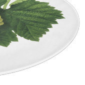 白ワイン葡萄のつる植物、ヴィンテージ食品フルーツ カッティングボード (角)