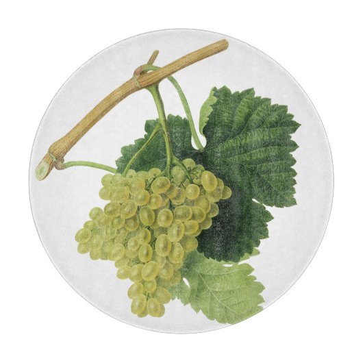 白ワイン葡萄のつる植物、ヴィンテージ食品フルーツ カッティングボード (正面)