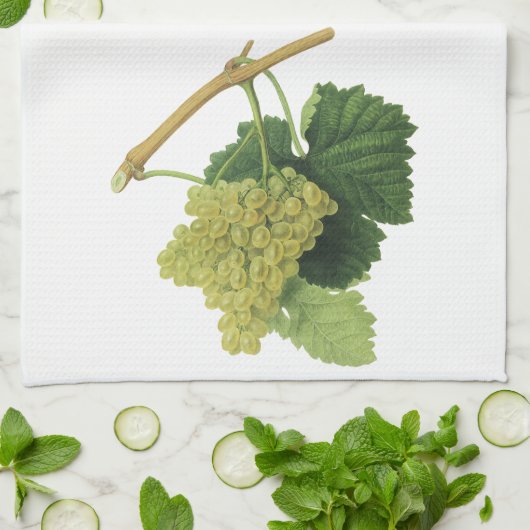 白ワイン葡萄のつる植物、ヴィンテージ食品フルーツ キッチンタオル (折り畳み)