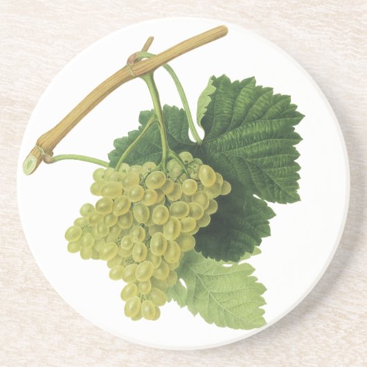 白ワイン葡萄のつる植物、ヴィンテージ食品フルーツ コースター (正面)