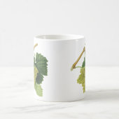 白ワイン葡萄のつる植物、ヴィンテージ食品フルーツ コーヒーマグカップ (中央)