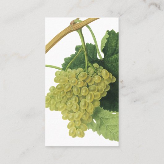 白ワイン葡萄のつる植物、ヴィンテージ食品フルーツ 名刺