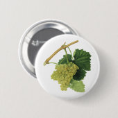 白ワイン葡萄のつる植物、ヴィンテージ食品フルーツ 缶バッジ (正面&裏面)