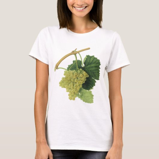 白ワイン葡萄のつる植物、ヴィンテージ食品フルーツ Tシャツ (正面)