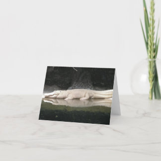 白ワニノートカード カード