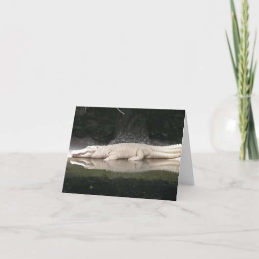 白ワニノートカード カード (正面)