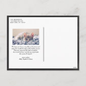 白ヴィンテージ植物枠の黒板フォト シーズンポストカード (裏面)