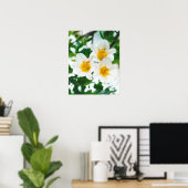 白亜百合 – Lilium candidum Poster ポスター (ホームオフィス)