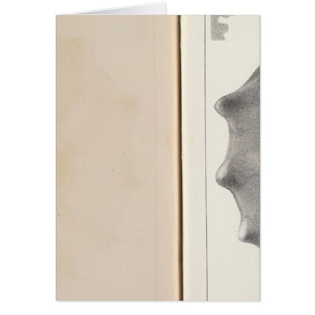 白亜紀第19号 (正面)