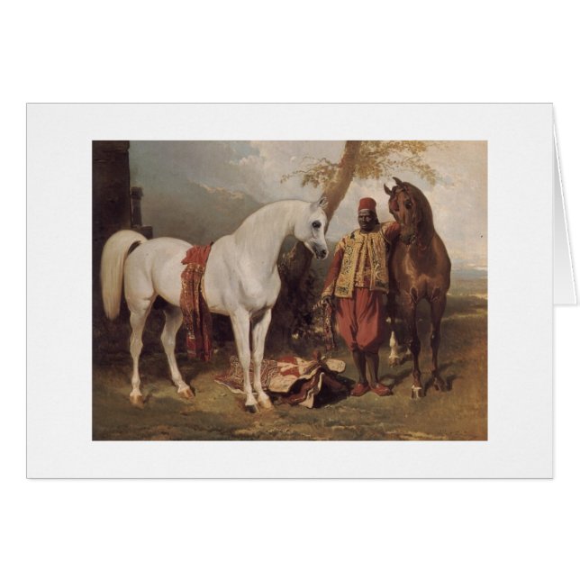 白人のアラビア人 (正面横)