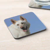 白人のジャーマン・シェパード コースター (左側)