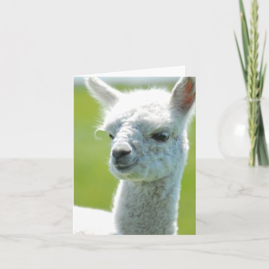 白人の女の赤ちゃん カード (正面)