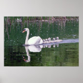 白人家族 ポスター (正面)