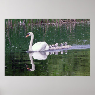 白人家族 ポスター