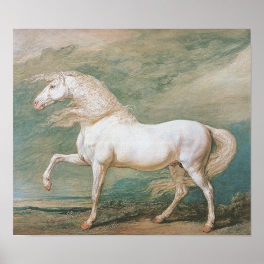 白充電器 ポスター (正面)