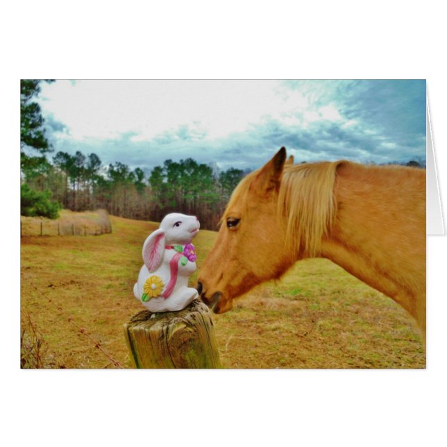 白兎と黄馬 (正面横)