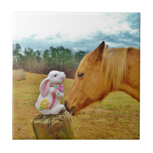 白兎と黄馬 タイル (正面)