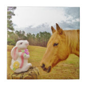 白兎と黄馬 タイル (正面)