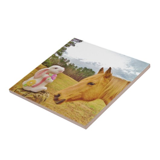 白兎と黄馬 タイル (側面)