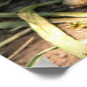 白兎 ポスター (角)