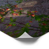 白内障滝、アッパー滝、インディアナ ポスター (角)