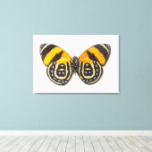 白内障 キャンバスプリント (インサイチュ (ウッドフロア))