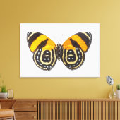 白内障 キャンバスプリント (インサイチュ (リビング))